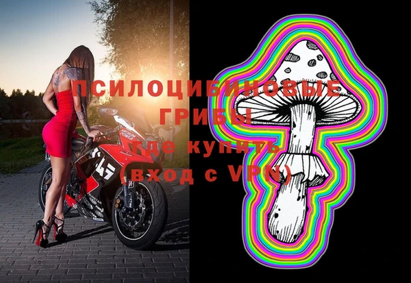 ешки Верхний Тагил
