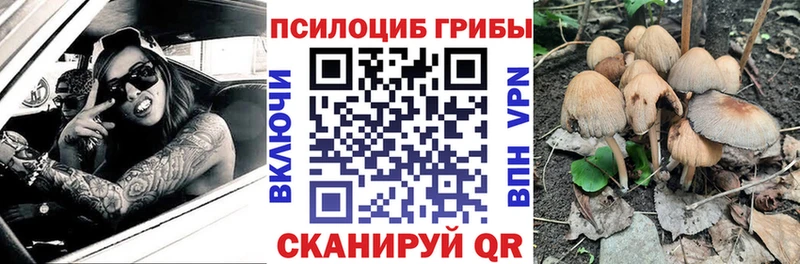 KRAKEN вход  Энгельс  маркетплейс как зайти  Галлюциногенные грибы Psilocybe 